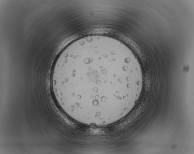 X0000097630794200803281059