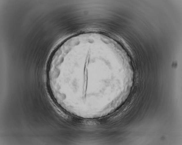X0000097630795200803281059