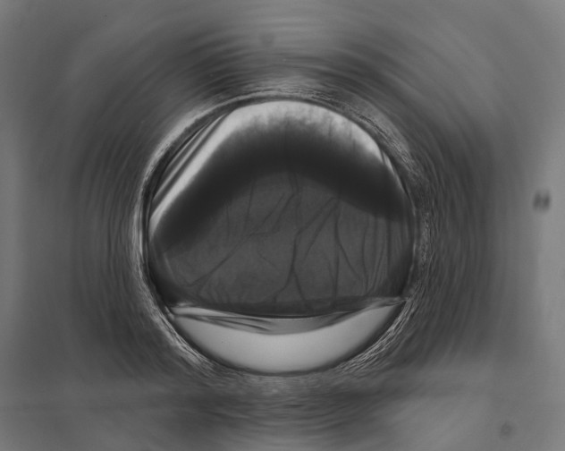 X0000097630796200803281059