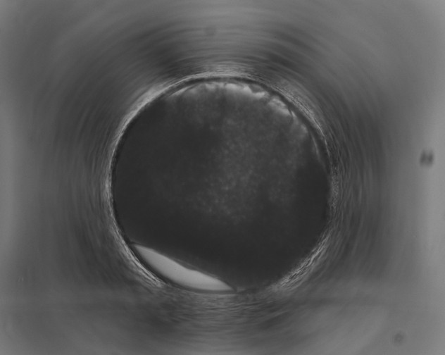 X0000097630797200803281059