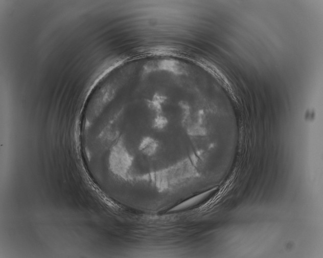 X0000097630798200803281059