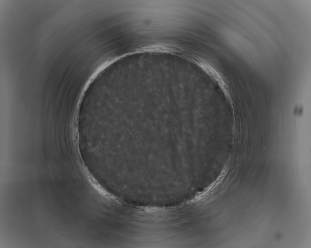X0000097630800200803281059