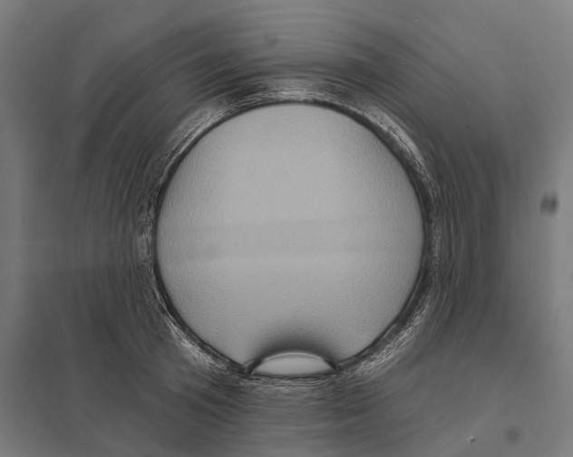 X0000097630801200803281059