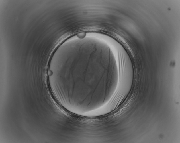 X0000097630802200803281059