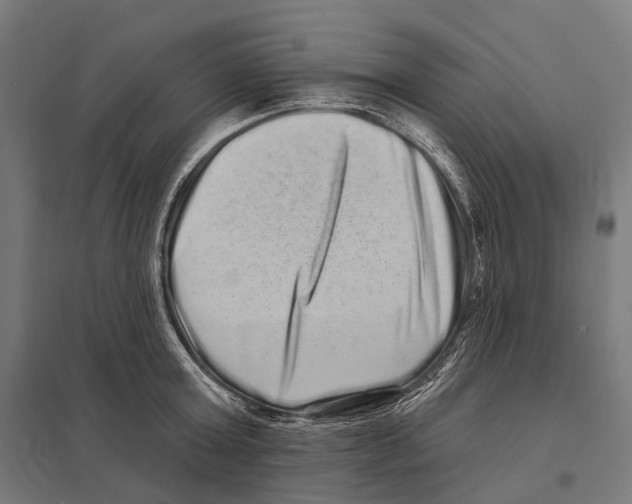 X0000097630803200803281059