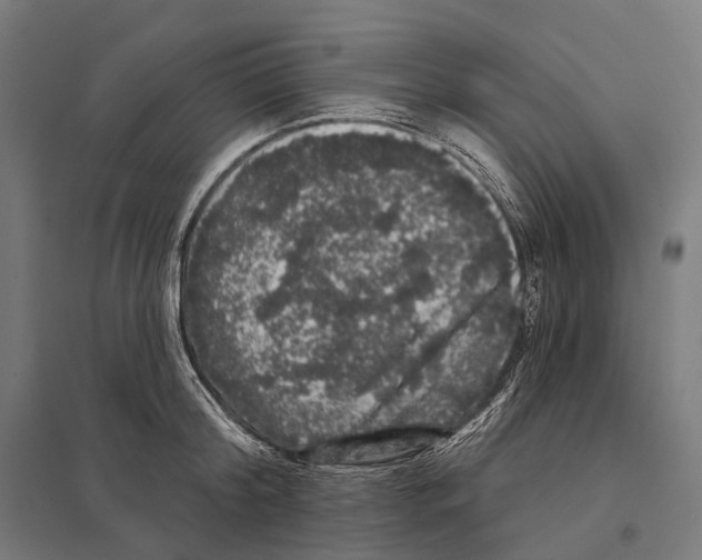 X0000097630804200803281059