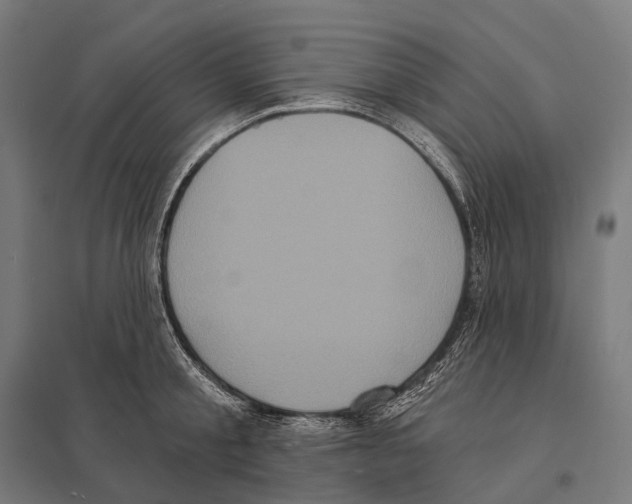 X0000097630805200803281059
