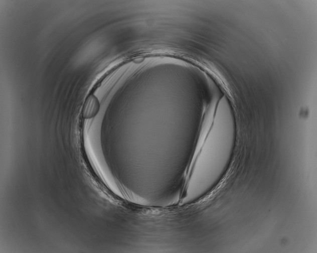 X0000097630806200803281059