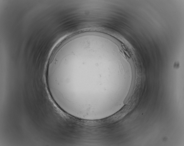 X0000097630807200803281059