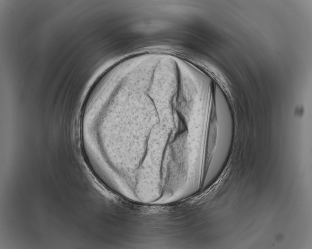 X0000097630808200803281059