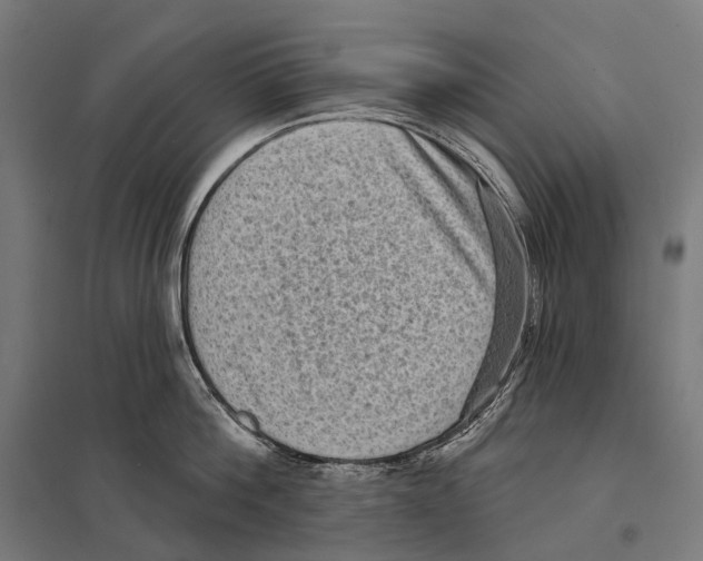 X0000097630812200803281059
