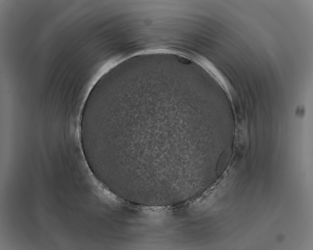 X0000097630813200803281058