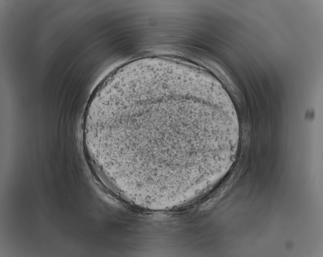 X0000097630814200803281058