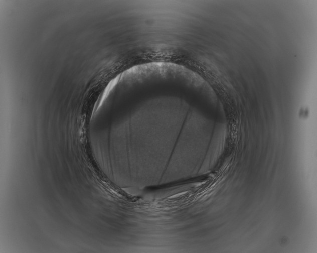 X0000097630818200803281058