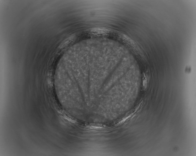 X0000097630819200803281058