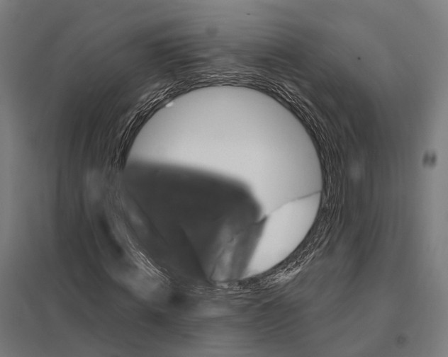 X0000097630820200803281058