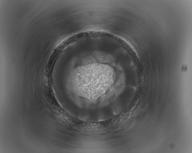 X0000097630823200803281058