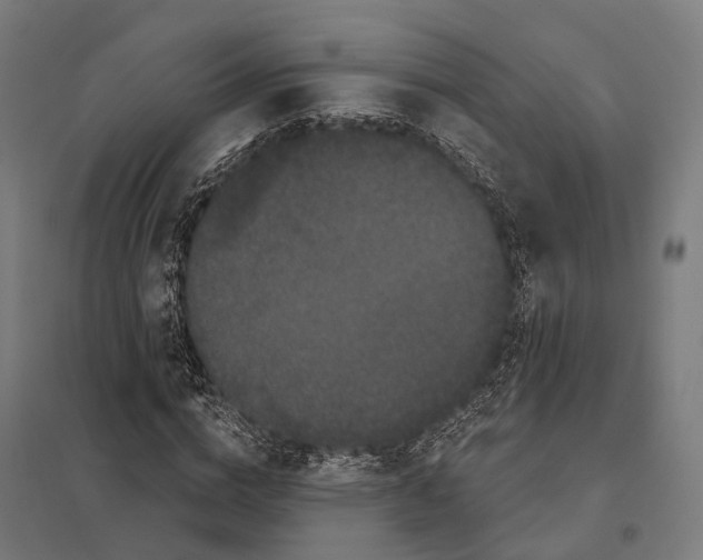 X0000097630824200803281058