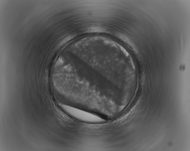 X0000097630825200803281058