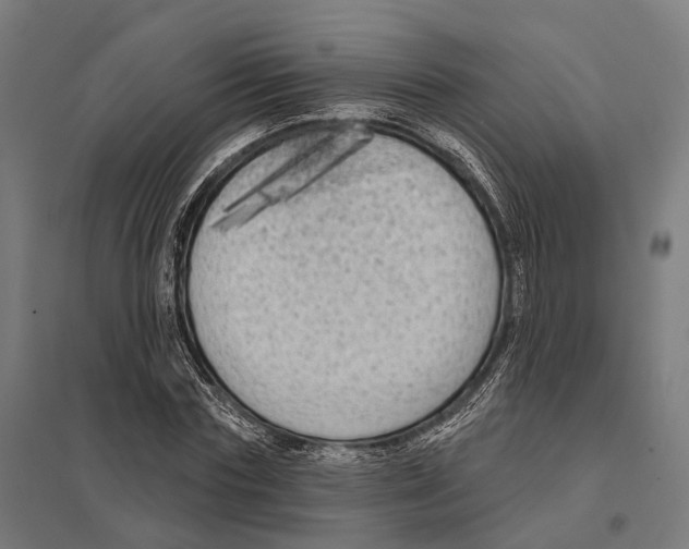 X0000097630827200803281058