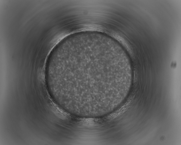 X0000097630828200803281058