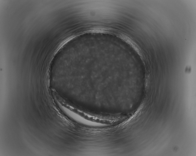 X0000097630829200803281058