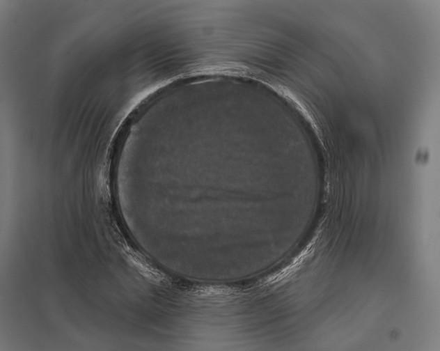 X0000097630830200803281058