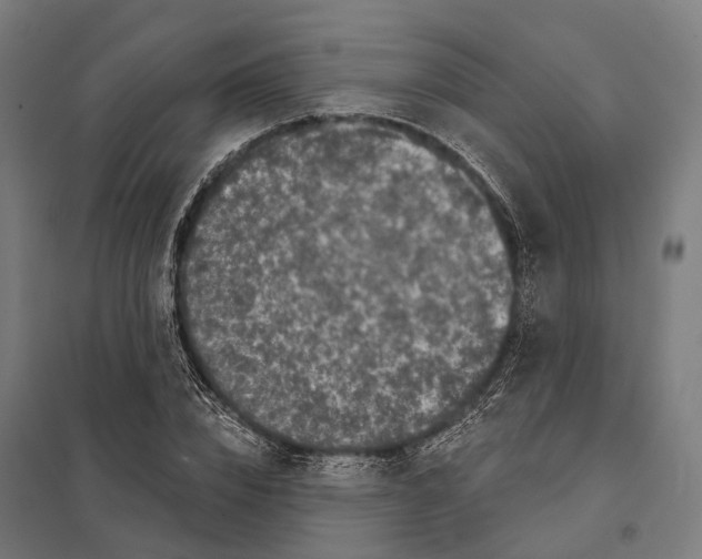 X0000097630832200803281058