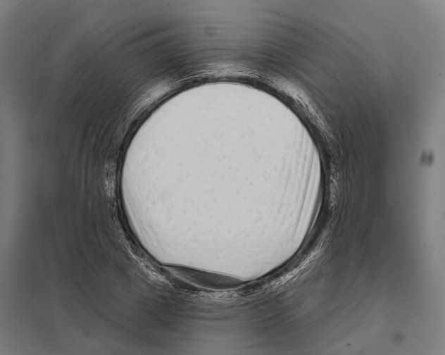 X0000097630833200803281058