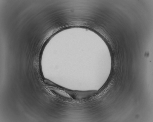X0000097630834200803281058
