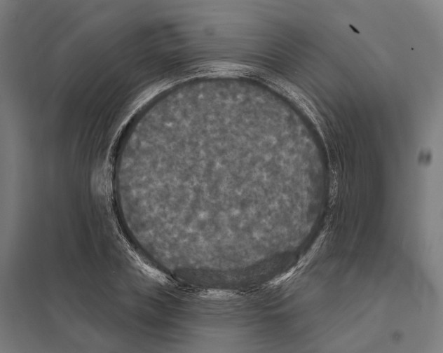 X0000097630835200803281058