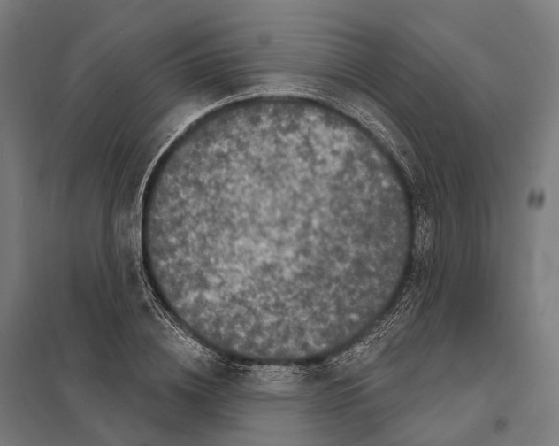 X0000097630836200803281058