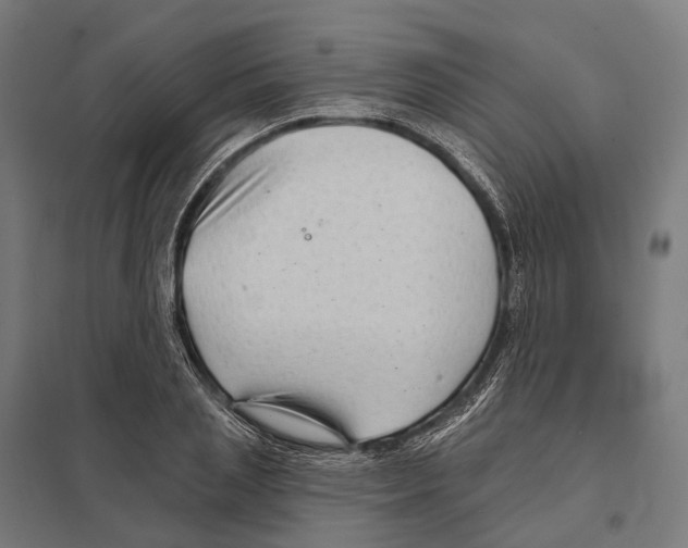 X0000097630837200803281058