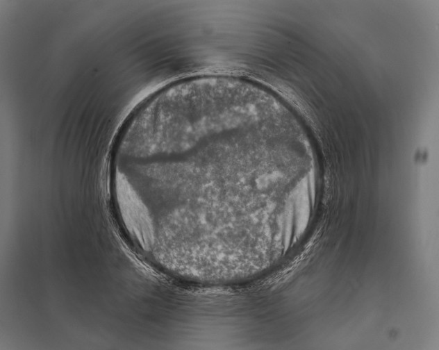 X0000097630838200803281058