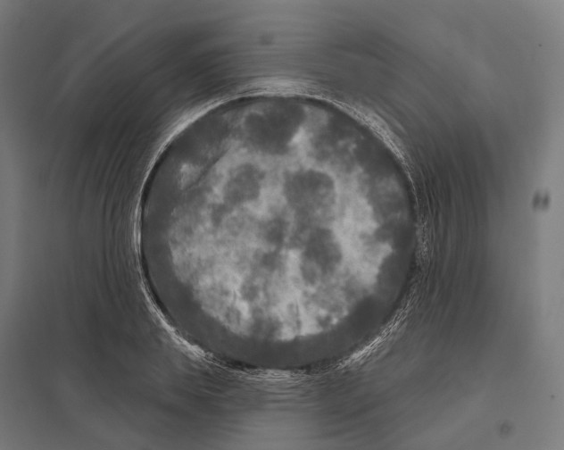 X0000097630839200803281058