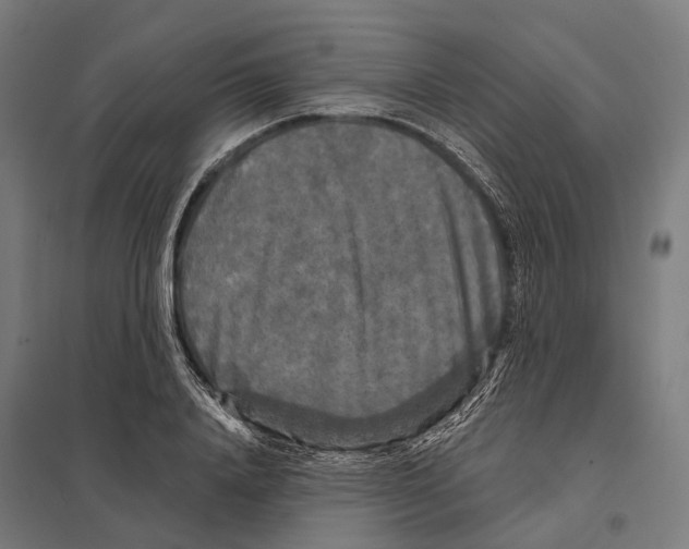 X0000097630840200803281058