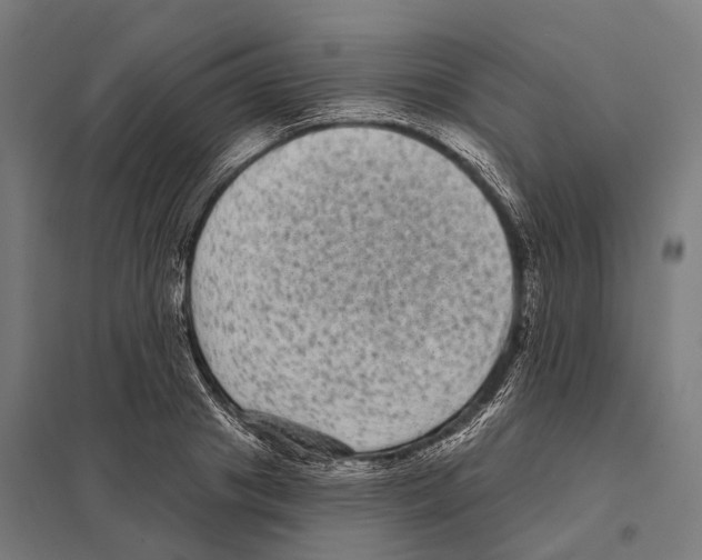 X0000097630841200803281058