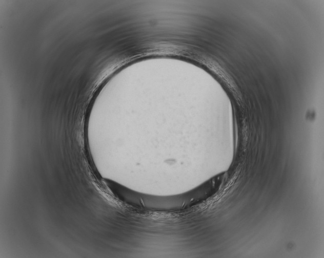 X0000097630842200803281058