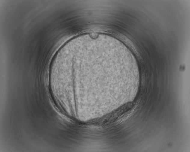 X0000097630844200803281058