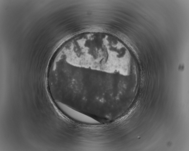 X0000097630845200803281058