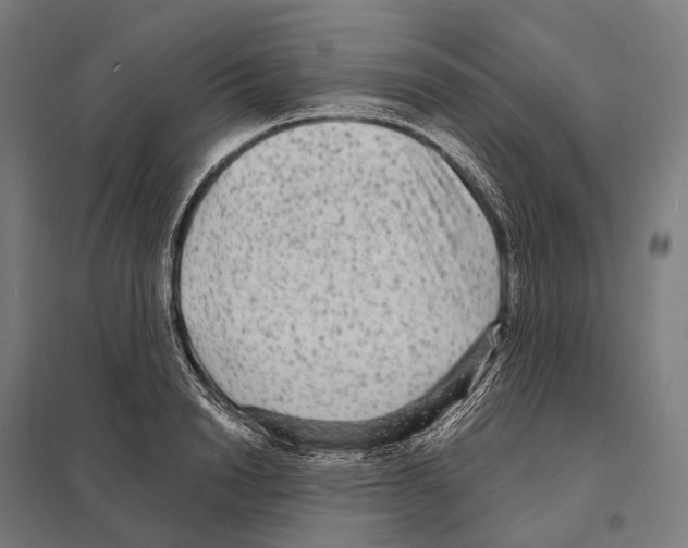 X0000097630846200803281058