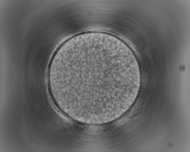 X0000097630848200803281058