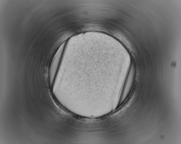 X0000097630849200803281058