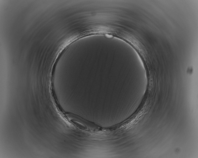 X0000097630850200803281058