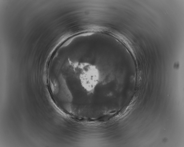 X0000097630851200803281058