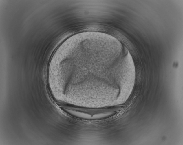 X0000097630852200803281058