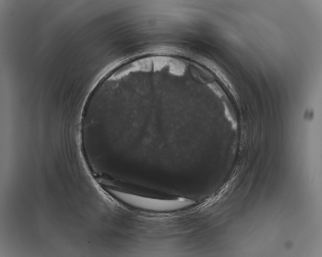 X0000097630853200803281058