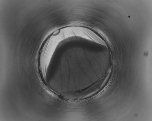 X0000097630854200803281058