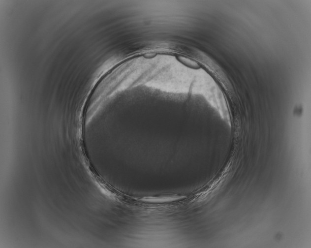 X0000097630858200803281058