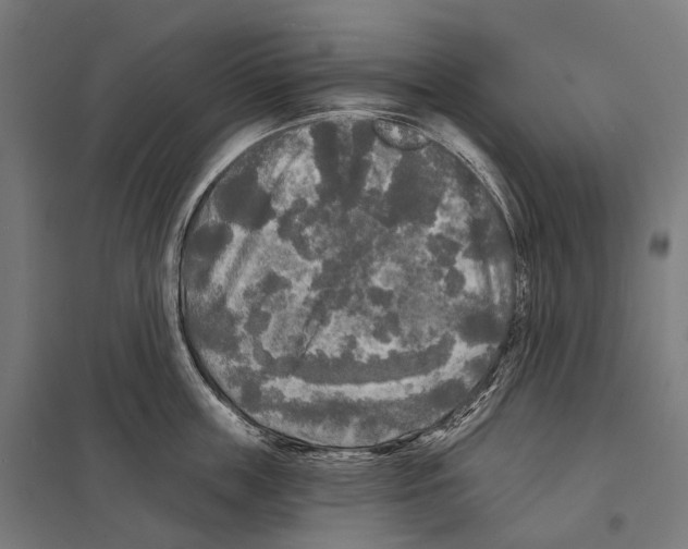 X0000097630859200803281058